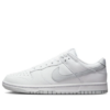 Nike Dunk Low Retro 'White Pure Platinum' DV0831-101