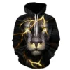 3D Printed Pullover Lion Hoodie For Men Women