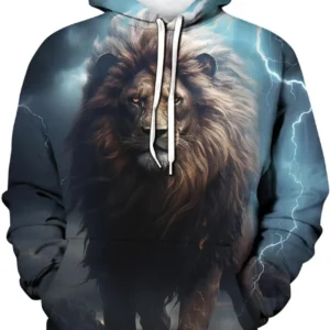 3D Printed Pullover Lion Hoodie For Men Women