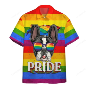 Ally Pride 3d Shirt Awesome Background Design Hawaiian Shirt